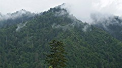 Mountains Landscapes nature Tennessee