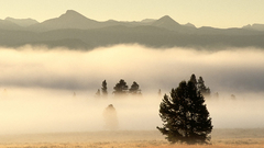Mountains Landscapes nature Trees