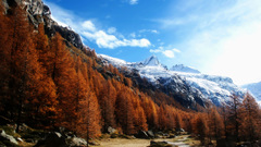 Mountains Landscapes nature Trees