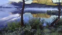 Mountains Landscapes nature Trees