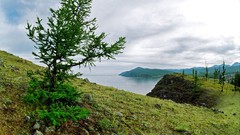 Mountains Landscapes nature Trees