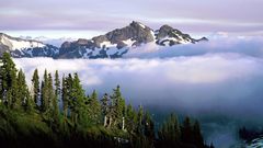 Mountains Landscapes nature Trees