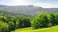 Mountains Landscapes nature Trees
