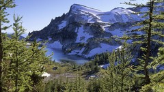 Mountains Landscapes nature Trees