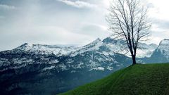 Mountains Landscapes nature Trees