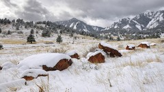 Mountains Landscapes snow Colorado