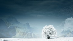 Mountains Landscapes snow Trees