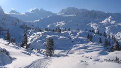 Mountains Landscapes snow Trees