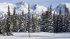 Mountains Landscapes snow Trees