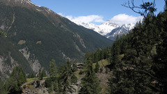 Mountains Landscapes Trees