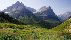 Mountains Landscapes Trees