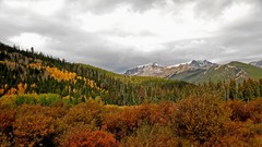 Mountains Landscapes Trees forests