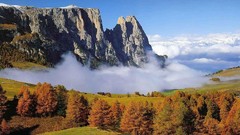 Mountains Landscapes Trees forests