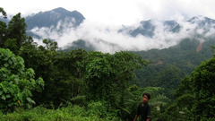 Mountains Landscapes Trees grass