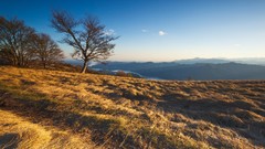 Mountains Landscapes Trees grass