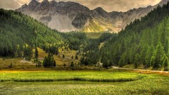 Mountains Landscapes Trees grass