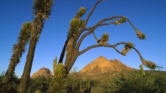 Mountains Mexico California santa