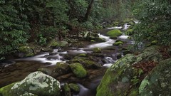 Mountains national park Tennessee