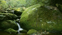 Mountains national park Tennessee boulder