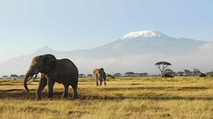 Mountains nature Animals elephants