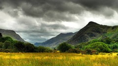 Mountains nature fields national