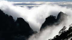 Mountains nature fog