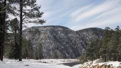 Mountains nature forest winter