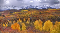 Mountains nature forests