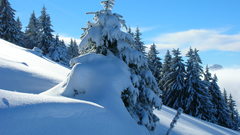 Mountains nature snow forests