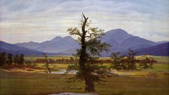 Mountains nature Trees