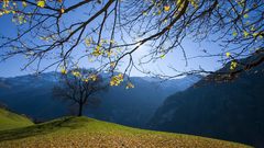 Mountains nature Trees autumn