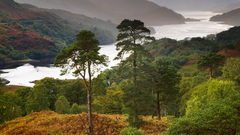 Mountains nature Trees Earth