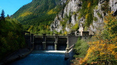 Mountains nature Trees forests