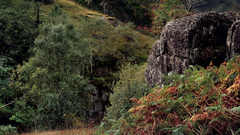 Mountains nature Trees grass