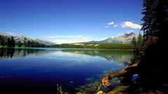 Mountains nature Trees lakes