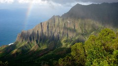 Mountains ocean Landscapes Trees