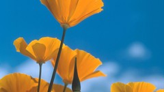 Mountains Oregon California