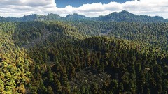 Mountains outer space Trees