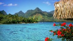 Mountains palm trees Beaches