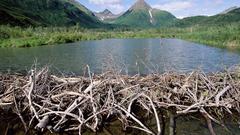 Mountains river nature