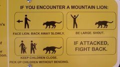 Mountains signs Lions