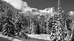 Mountains snow grayscale