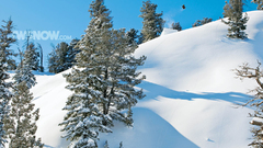 Mountains snow Trees Snowboarding