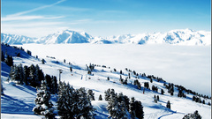 Mountains snow Trees winter
