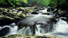 Mountains summer little national park Tennessee rivers