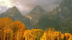 Mountains Trees autumn