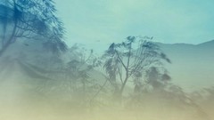Mountains Trees fog