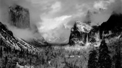 Mountains Trees grayscale
