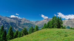 Mountains Trees landscape