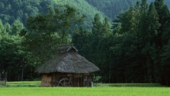 Mountains Trees meadows hut